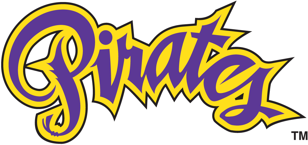 East Carolina Pirates 1999-2013 Wordmark Logo v4 DIY iron on transfer (heat transfer)